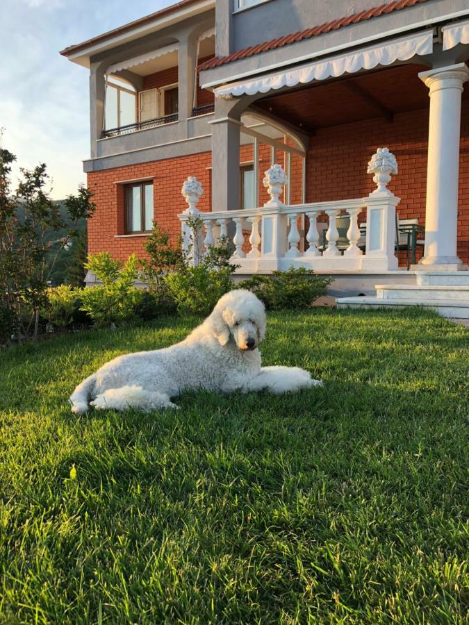 Locanda Costa Otto.Zero San Martino  Екстер'єр фото